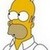  Homer Simpson